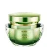 Phyris Forest Light Cream 1 Phyris Forest Light Cream -skin care shop Forest Light Cream 42334 detail