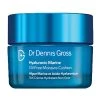 Dr Dennis Gross Hyaluronic Marine Moisture Cushion