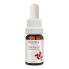Kosmea Whole Fruit Rose Hip Oil -skin care shop Whole Fruit Rose Hip Oil 76060 detail